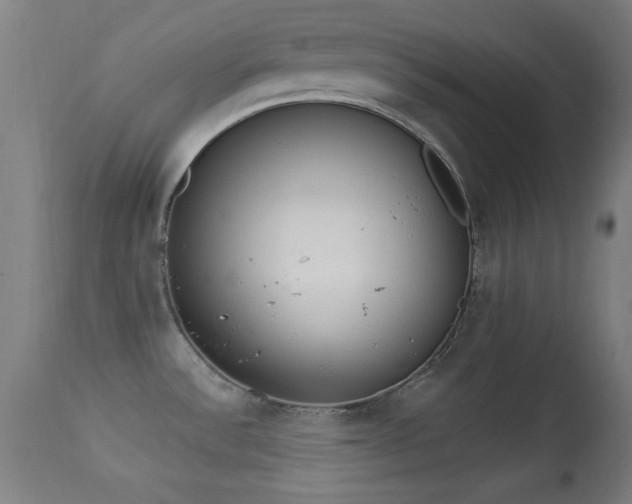 X0000113361532200909221146