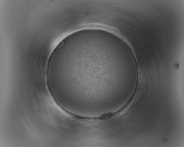 X0000113361533200909221146