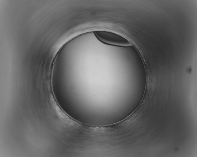 X0000113361534200909221146