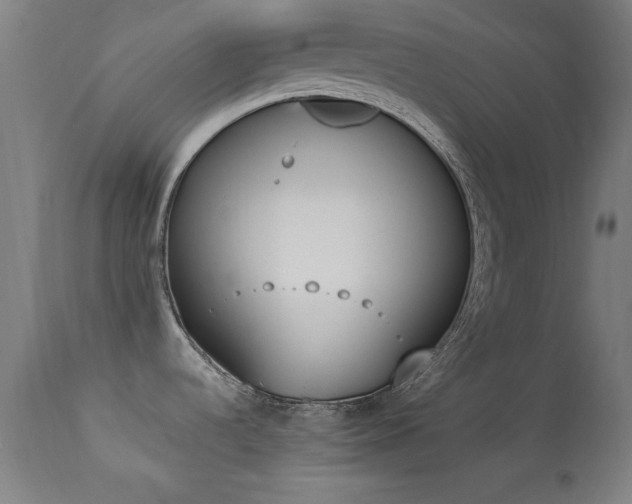 X0000113361536200909221146