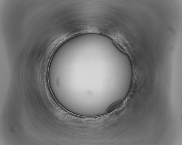 X0000113360001200909291040