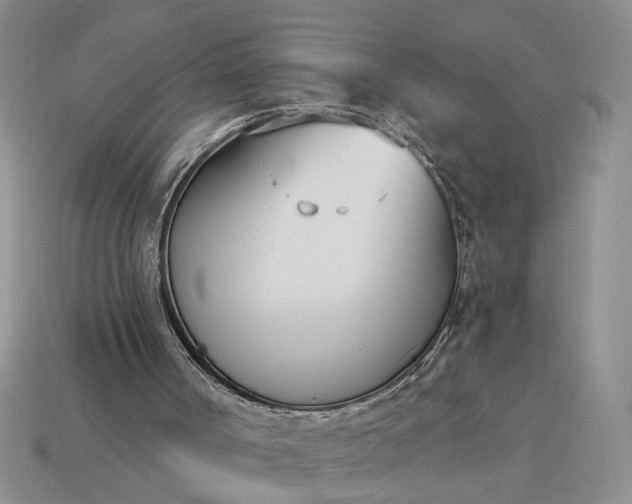 X0000113360002200909291040