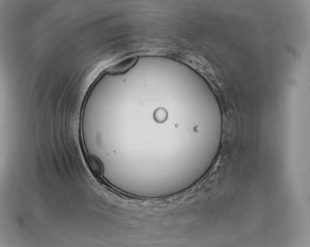 X0000113360003200909291040