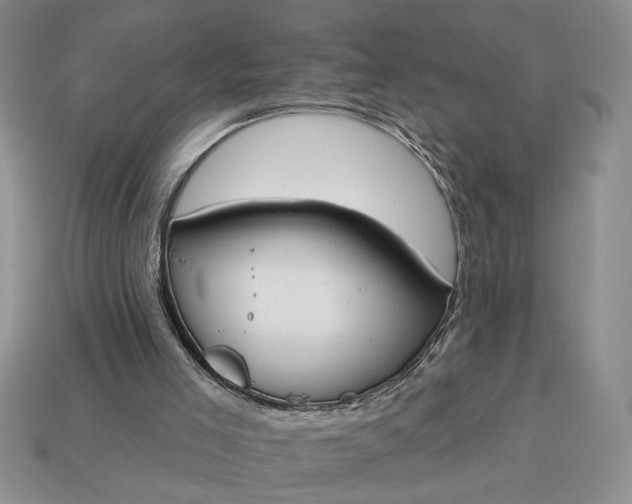 X0000113360005200909291040