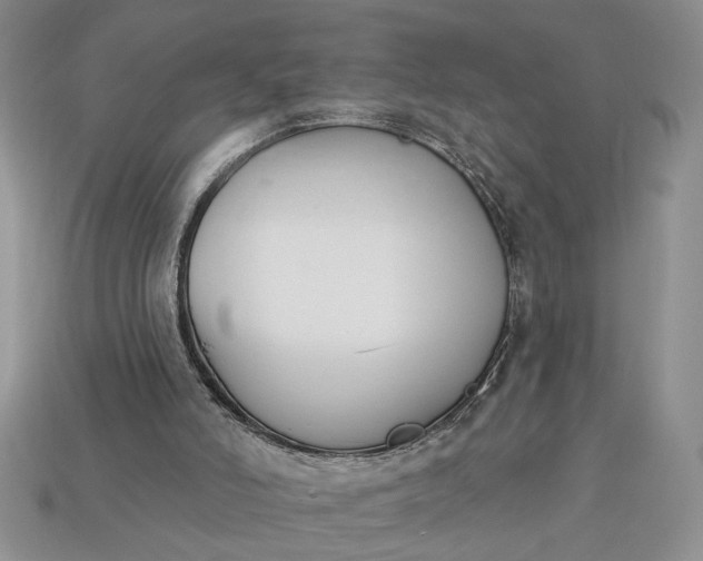 X0000113360006200909291040