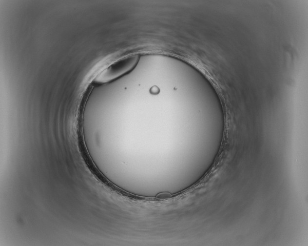 X0000113360007200909291040