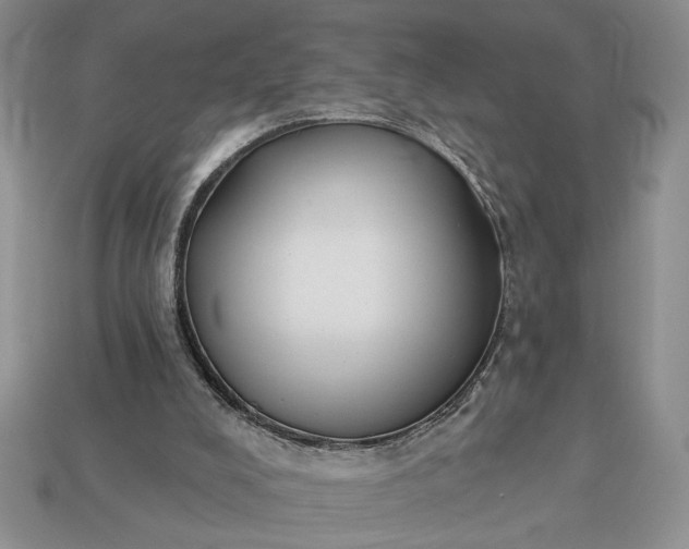 X0000113360008200909291040