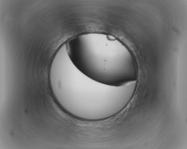 X0000113360009200909291040