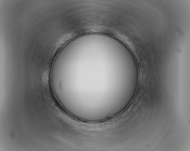 X0000113360010200909291039