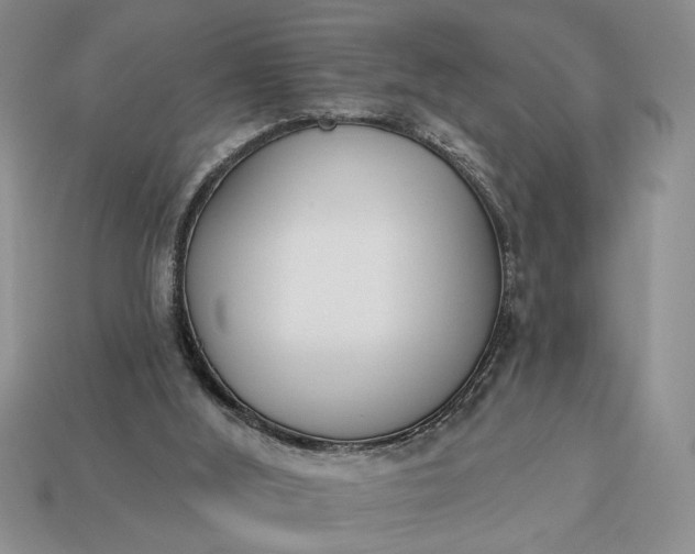 X0000113360012200909291039