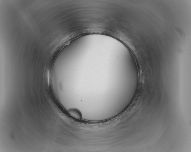 X0000113360013200909291039