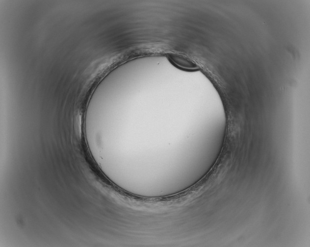 X0000113360014200909291039