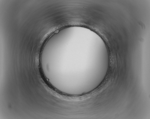 X0000113360015200909291039