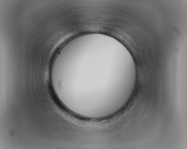 X0000113360016200909291039