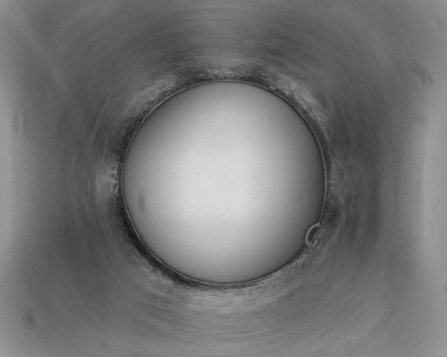 X0000113360017200909291039