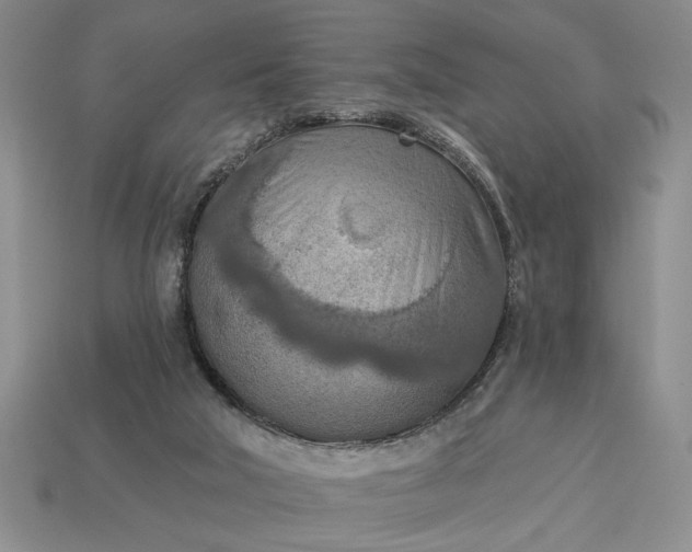 X0000113360018200909291039