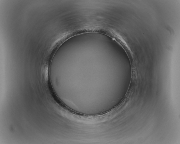 X0000113360019200909291039