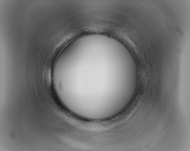 X0000113360020200909291039