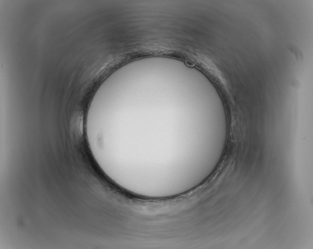 X0000113360021200909291039