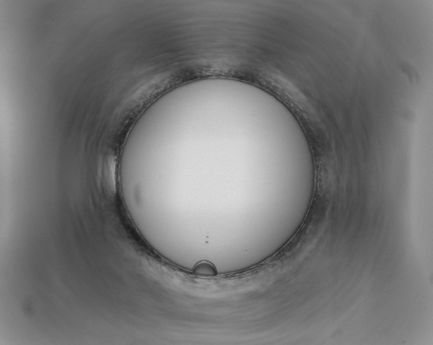 X0000113360022200909291039