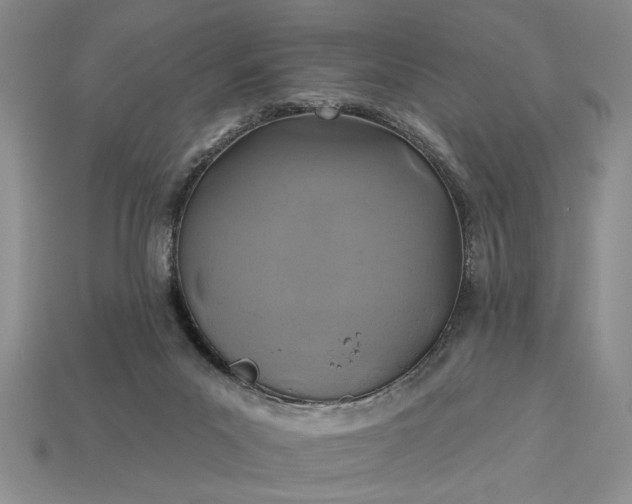 X0000113360023200909291039