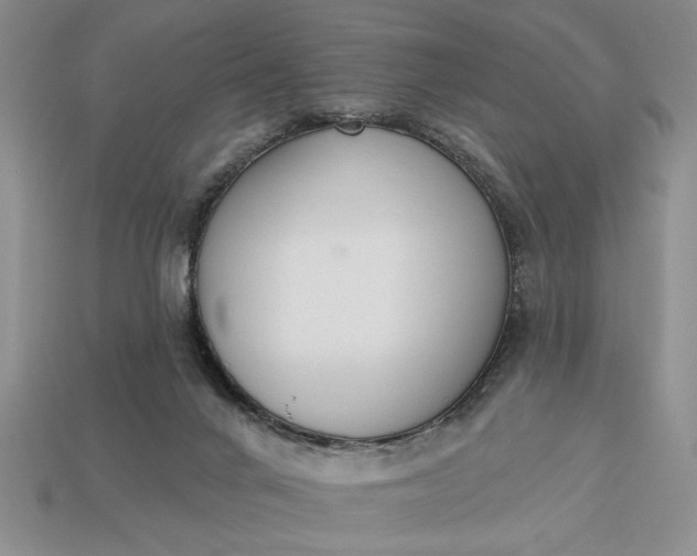 X0000113360024200909291039