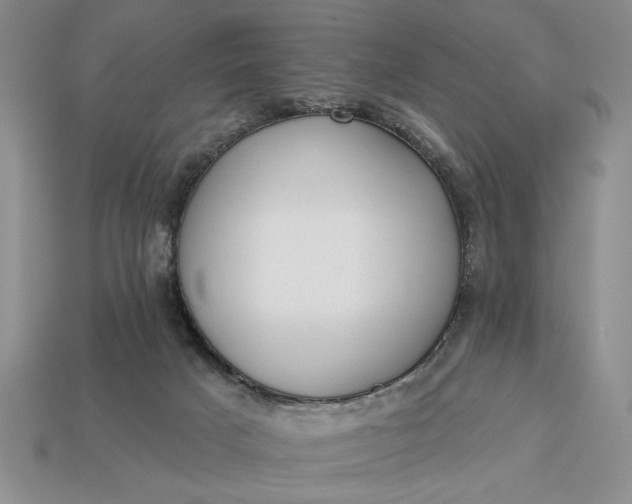 X0000113360025200909291039