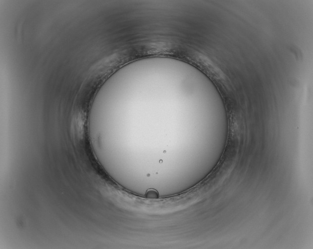 X0000113360026200909291039