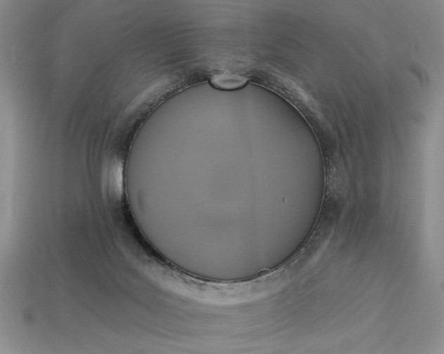 X0000113360027200909291039