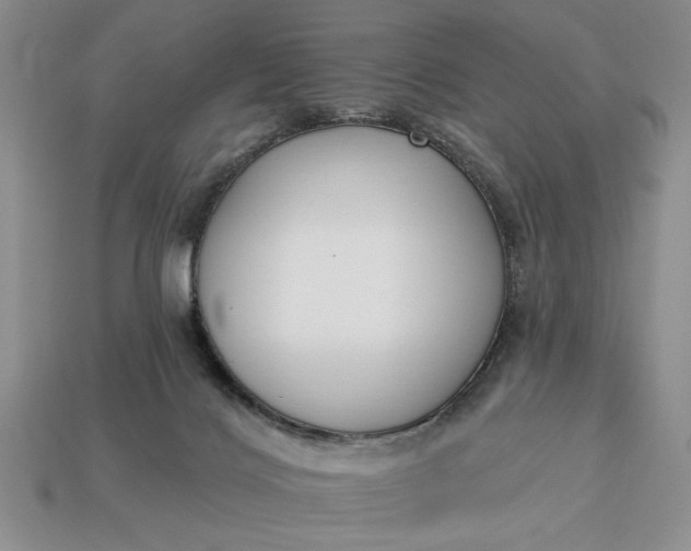 X0000113360028200909291039