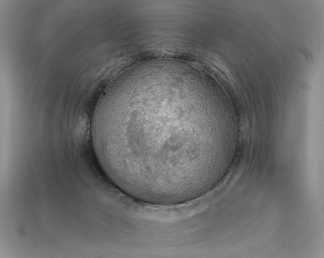 X0000113360029200909291039