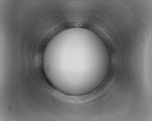 X0000113360030200909291039