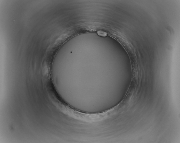 X0000113360031200909291039