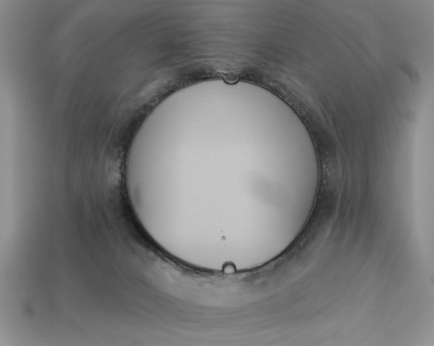 X0000113360032200909291039