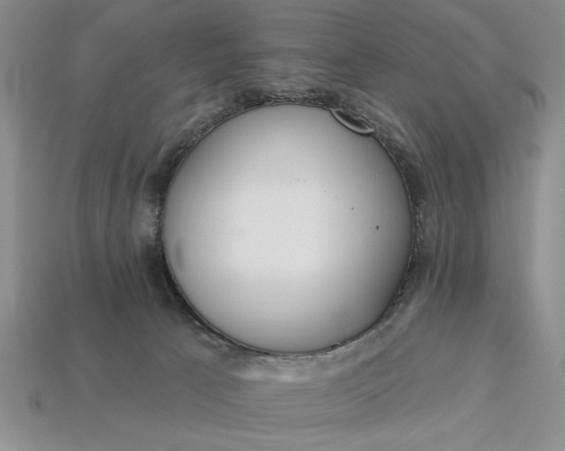 X0000113360033200909291039