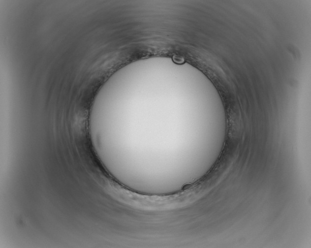 X0000113360034200909291039