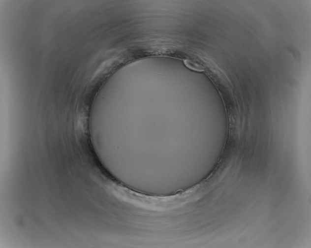 X0000113360035200909291039