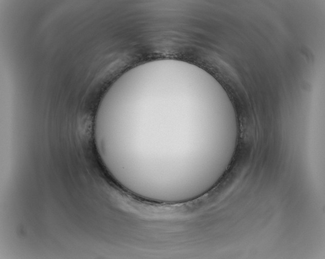 X0000113360036200909291039