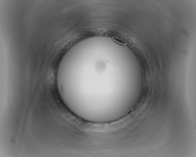 X0000113360037200909291039