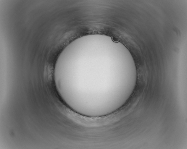 X0000113360038200909291039