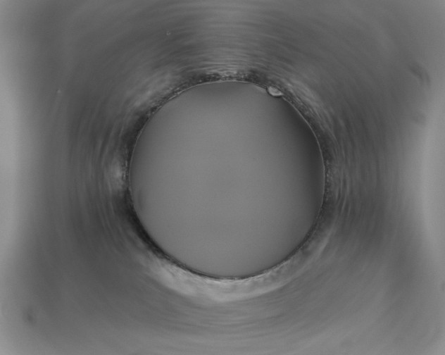 X0000113360039200909291039