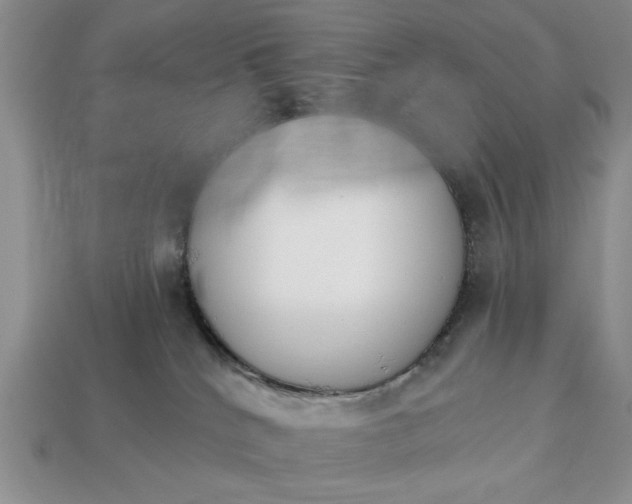 X0000113360040200909291039