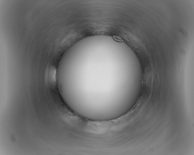 X0000113360041200909291039