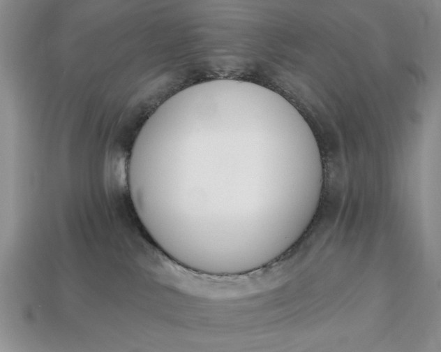 X0000113360042200909291039