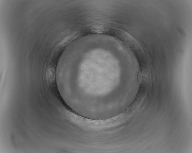 X0000113360043200909291039