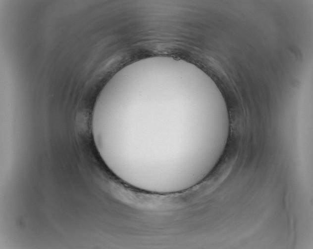 X0000113360044200909291039