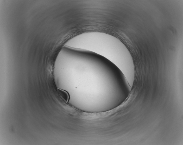 X0000113360045200909291039