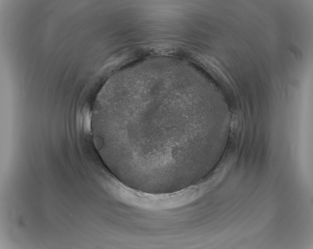 X0000113360046200909291039