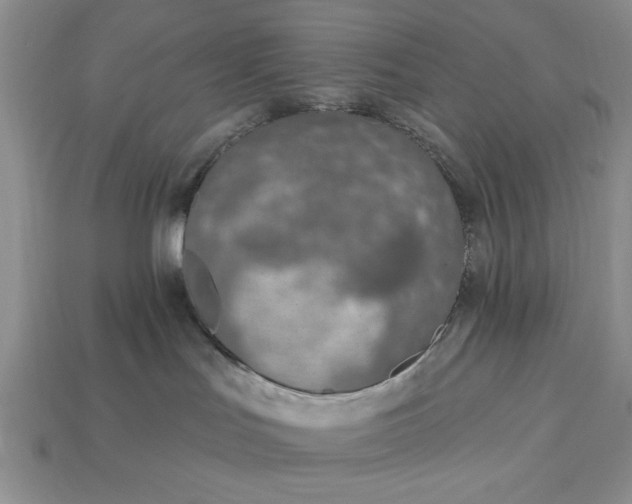 X0000113360047200909291039