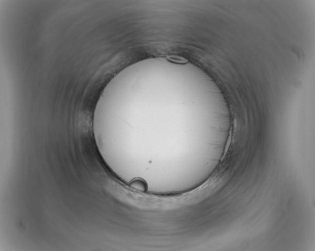 X0000113360048200909291039